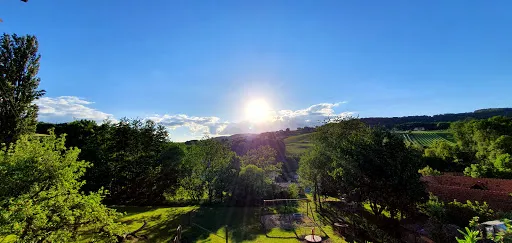 Bild von Weinhof Josef Scharl