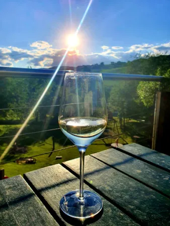 Bild von Weinhof Josef Scharl