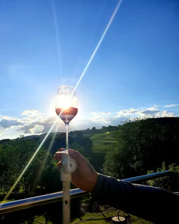 Bild von Weinhof Josef Scharl