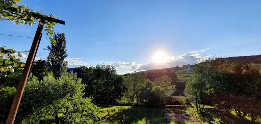 Bild von Weinhof Josef Scharl
