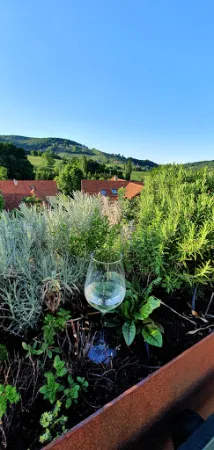 Bild von Weinhof Josef Scharl