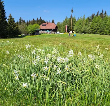 Bild von Hochanger Schutzhaus