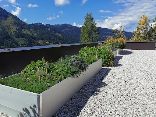 Bild von LUMBERJACK Bio-Bergrestaurant