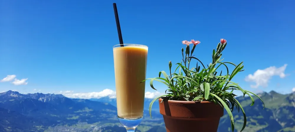 Bild von Frassen-Hütte 1725 m, Lechquellengebirge (Alpenverein Vorarlberg)