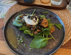 Ben‘s Aloha - Bowls - Burgers - Breakfast