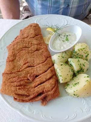 Karpfenwirt