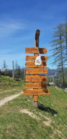 Bild von Bärenstube Mautern am Wilden Berg