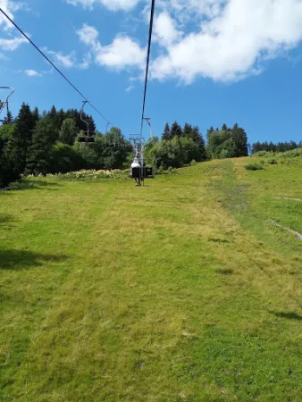 Bild von Bärenstube Mautern am Wilden Berg
