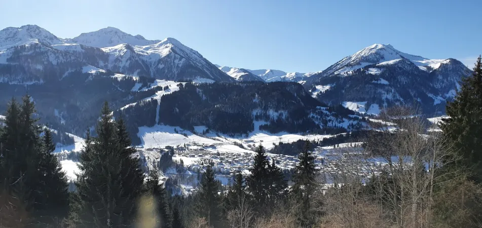 Bild von David Hellwig