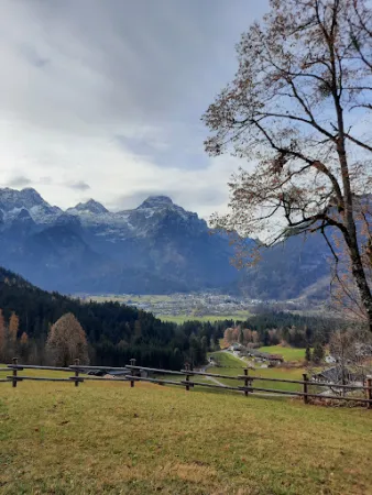 Bild von Bergers FEINHEIT