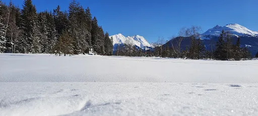 Bild von Hochmoor Stüberl