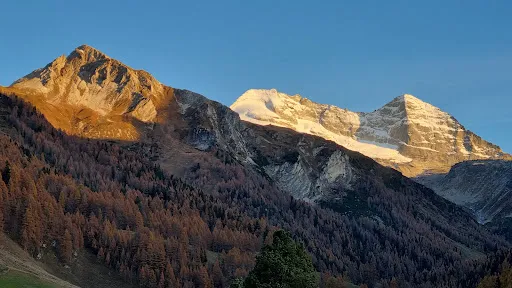 Bild von Gasthaus Olpererblick