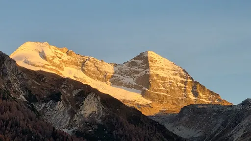 Bild von Gasthaus Olpererblick