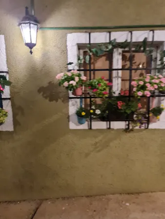 Bild von Hoffmann´s WeinZEIT