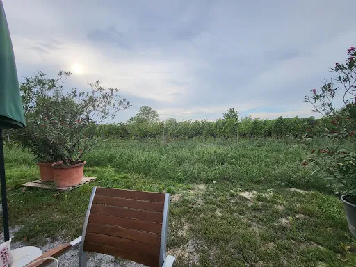 Bild von Hoffmann´s WeinZEIT