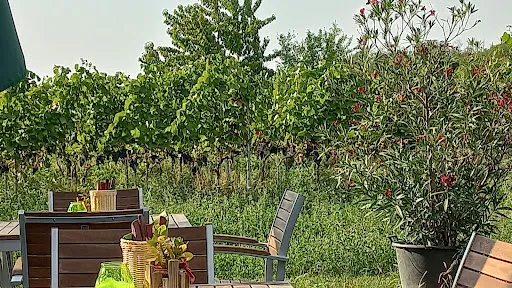 Bild von Hoffmann´s WeinZEIT