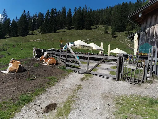 Bild von Oberbrunn Alm