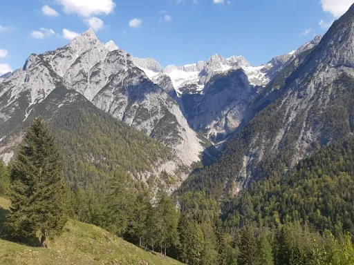 Bild von Walderalm