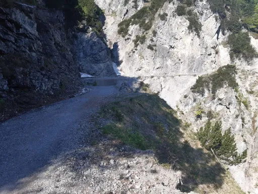 Bild von Walderalm