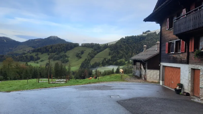 Bild von Restaurant Alp Altschwand