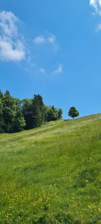 Bild von Andre Wettstein