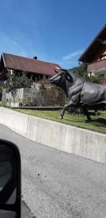 Bild von Halco T.