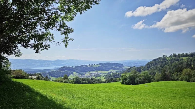 Bild von Kurt Brunner
