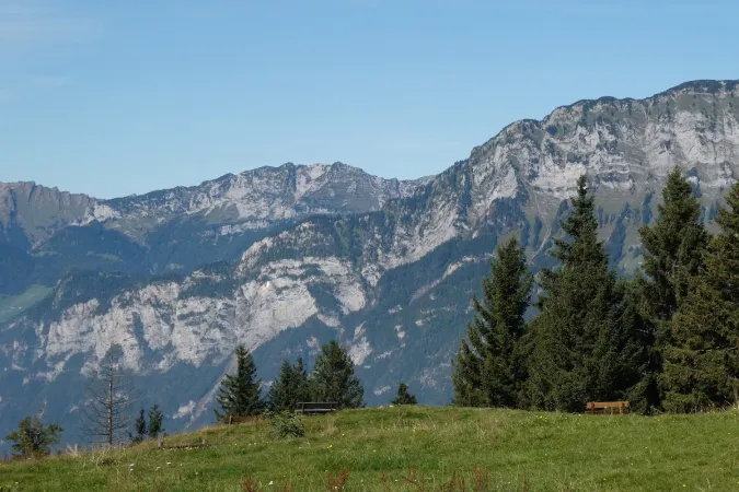 Bild von Jo Si