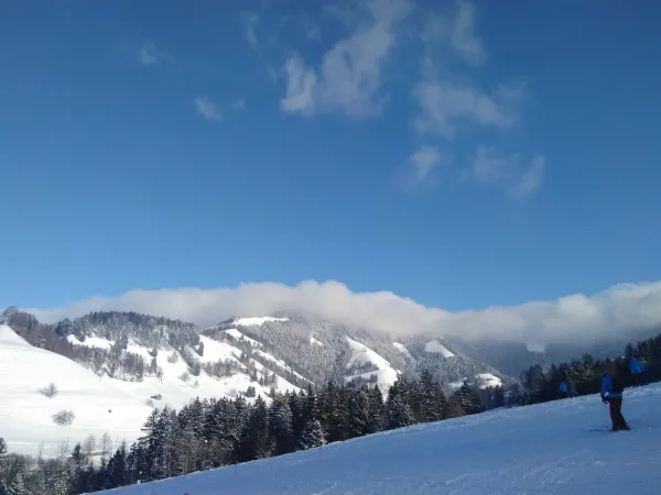 Bild von Trix Ba