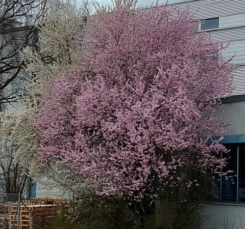 Bild von Marianne Sonderegger