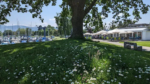 Bild von Hafen-Treff