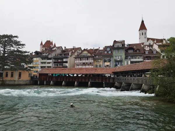 Bild von Chalapenos R.