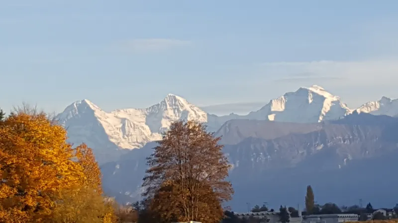Bild von Miso Blagojevic