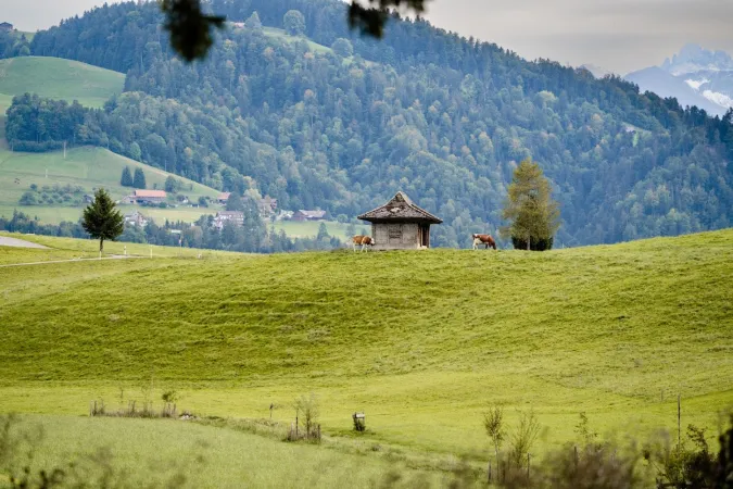 Bild von Gasthof Schnittweierbad