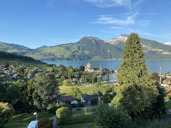 Bild von Mari Sawai