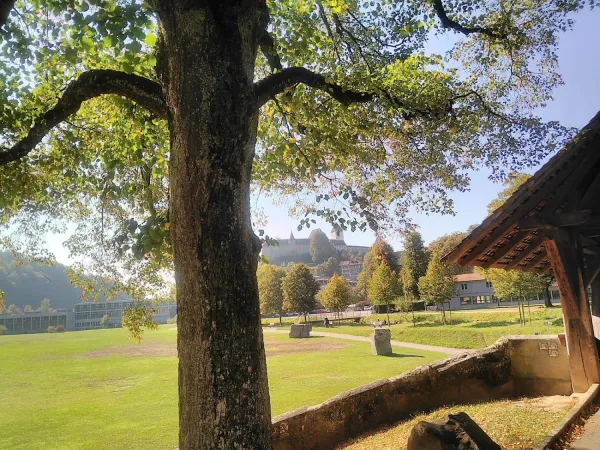 Bild von christine maibach