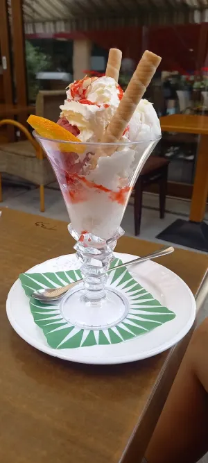 Il Cervo