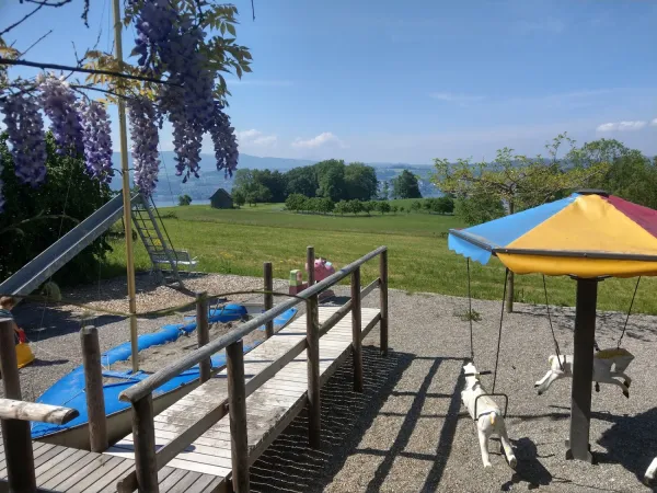 Bild von Deadolus