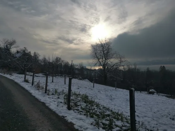 Bild von André Thönen