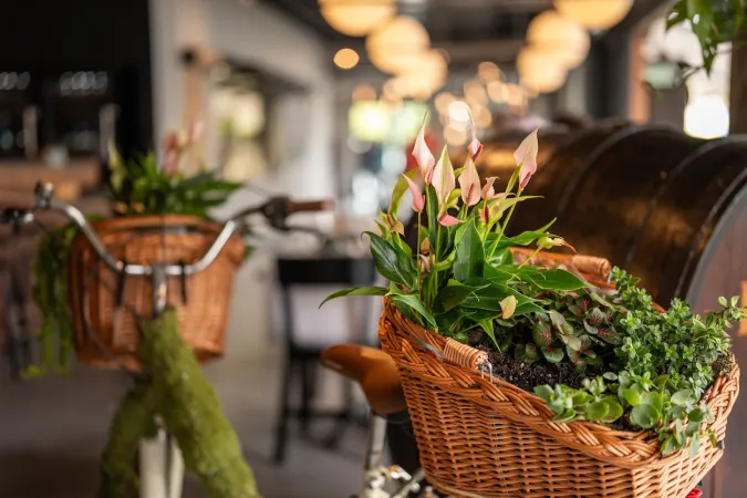 Bild von Restaurant Eve&#39;s Kitchen
