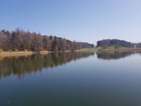 Bild von Melissa Schärer