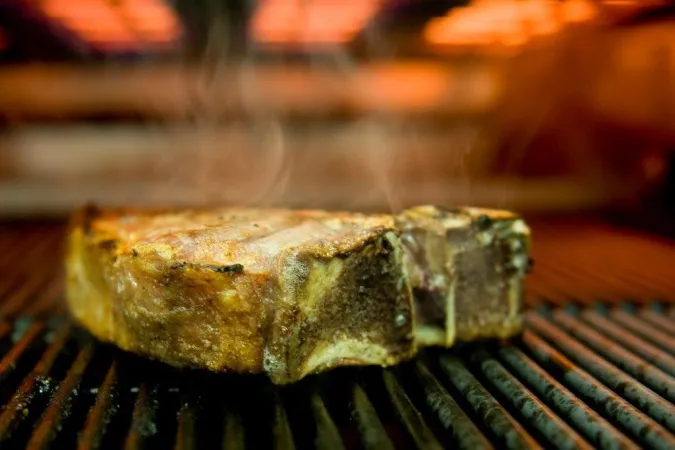 Bild von tonWERK Steak &amp; Hummer 800 ° Spezialitätenrestaurant (im Sommer im Garten)