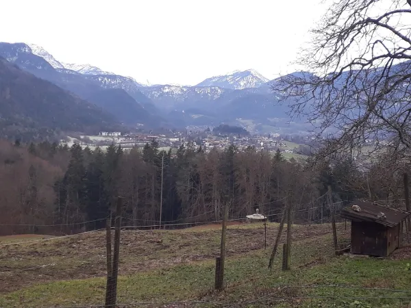 Bild von Brigitte Geiersberger