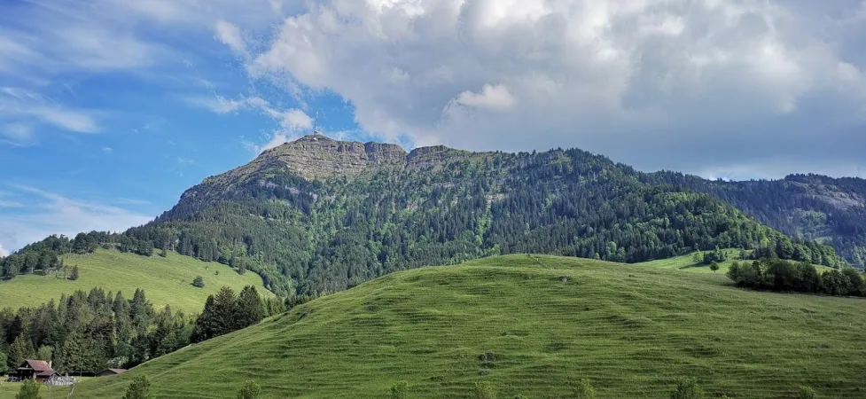 Bild von Davor Maznik