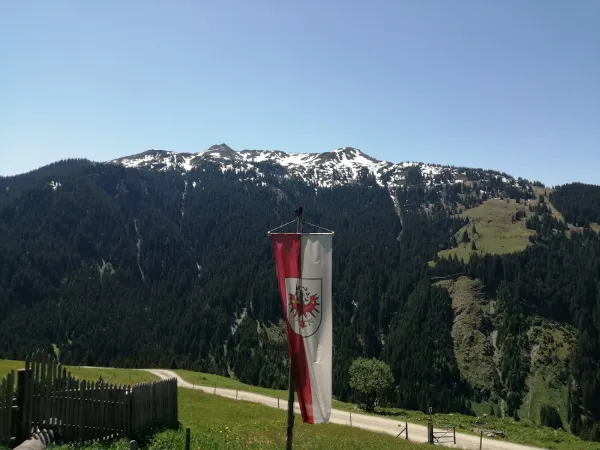 Bild von Paul Hallewell