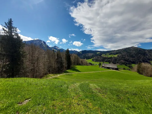 Bild von Juraj Duris