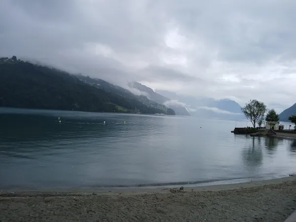 Bild von Andreas Schweiss