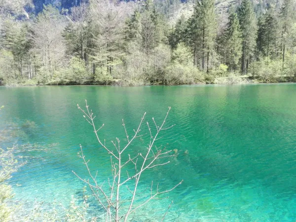 Bild von Candy Hohmann