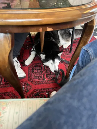 Bild von Mundart Café