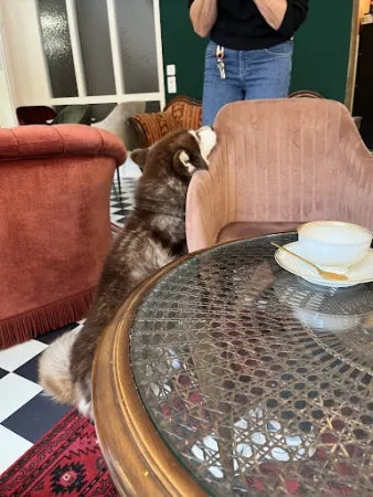 Bild von Mundart Café